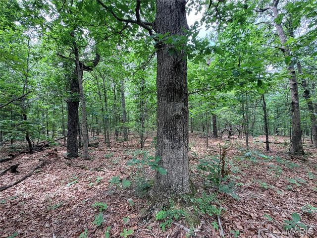 416+- Acres Christy Mine Road, Bourbon, MO 65441