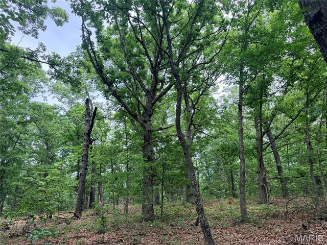 416+- Acres Christy Mine Road, Bourbon, MO 65441
