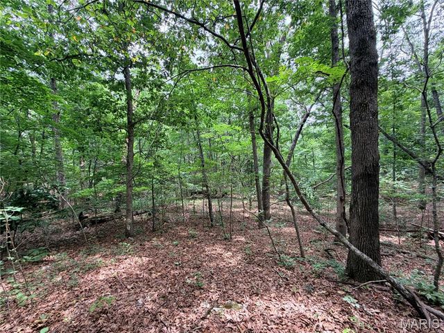 416+- Acres Christy Mine Road, Bourbon, MO 65441