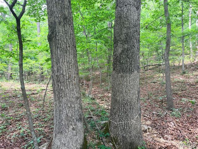 416+- Acres Christy Mine Road, Bourbon, MO 65441