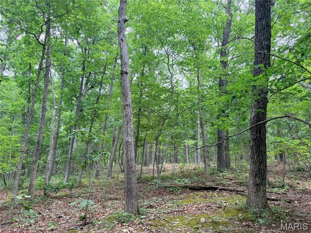 416+- Acres Christy Mine Road, Bourbon, MO 65441