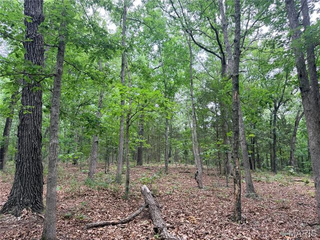 416+- Acres Christy Mine Road, Bourbon, MO 65441