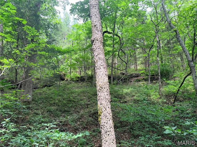 416+- Acres Christy Mine Road, Bourbon, MO 65441