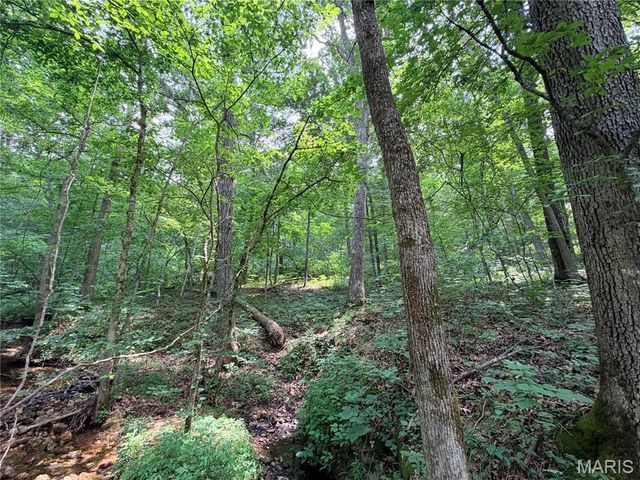 416+- Acres Christy Mine Road, Bourbon, MO 65441