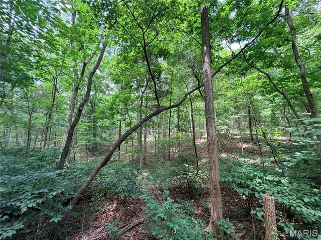 416+- Acres Christy Mine Road, Bourbon, MO 65441