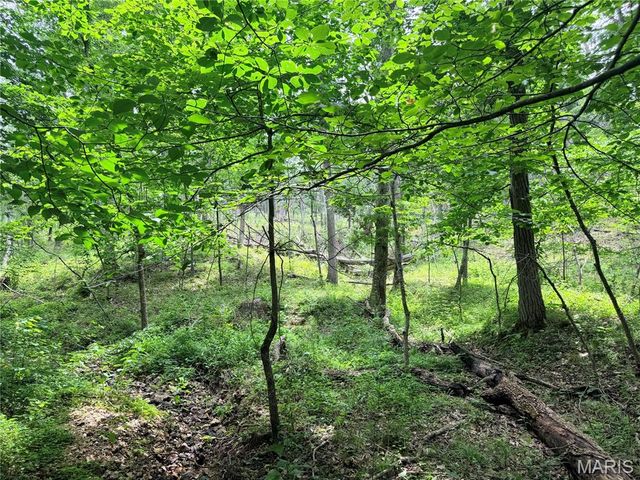 416+- Acres Christy Mine Road, Bourbon, MO 65441