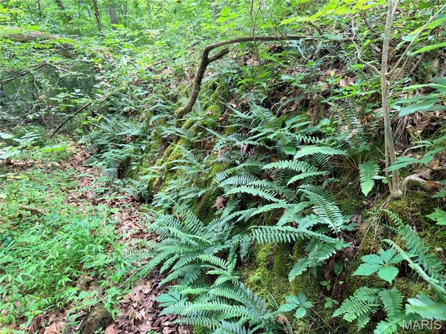 416+- Acres Christy Mine Road, Bourbon, MO 65441