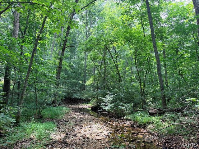 416+- Acres Christy Mine Road, Bourbon, MO 65441