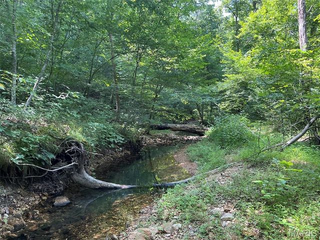 416+- Acres Christy Mine Road, Bourbon, MO 65441