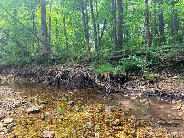 416+- Acres Christy Mine Road, Bourbon, MO 65441