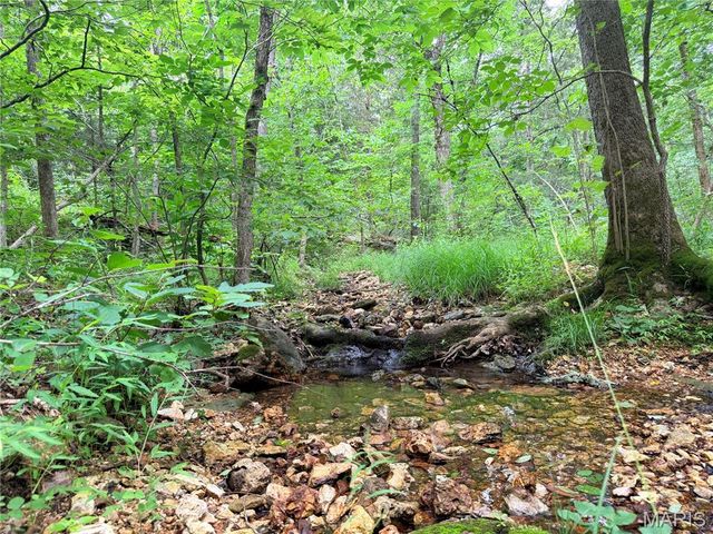 416+- Acres Christy Mine Road, Bourbon, MO 65441