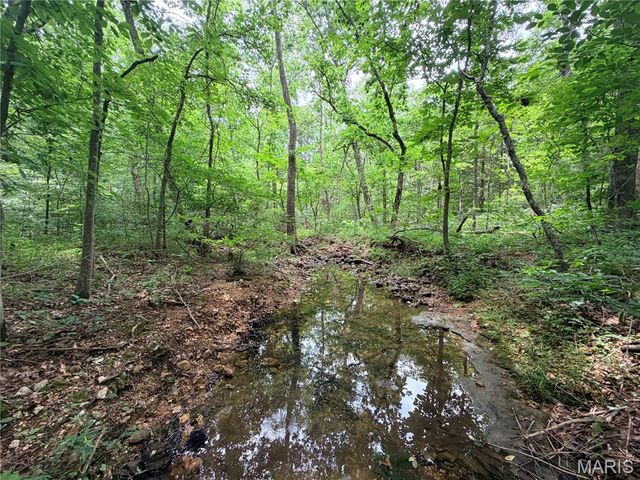 416+- Acres Christy Mine Road, Bourbon, MO 65441