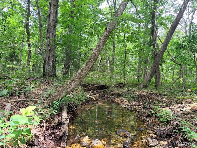 416+- Acres Christy Mine Road, Bourbon, MO 65441