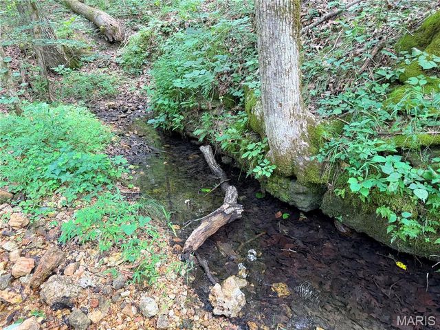 416+- Acres Christy Mine Road, Bourbon, MO 65441