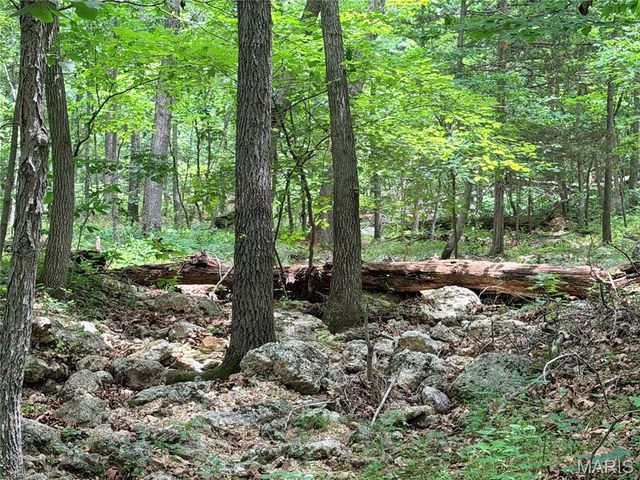 416+- Acres Christy Mine Road, Bourbon, MO 65441