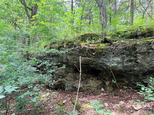 416+- Acres Christy Mine Road, Bourbon, MO 65441