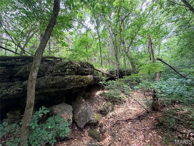 416+- Acres Christy Mine Road, Bourbon, MO 65441