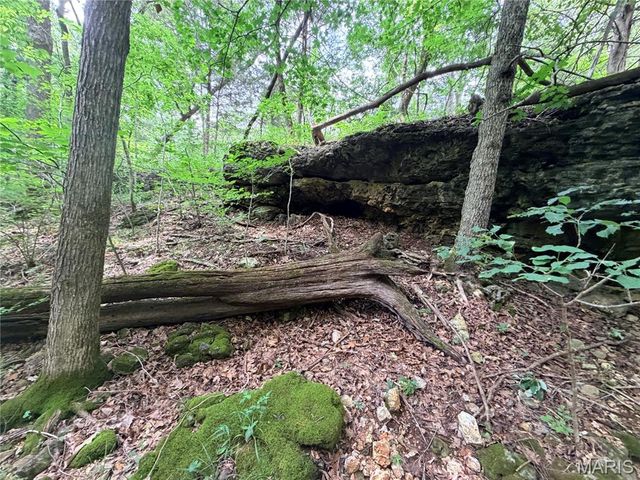 416+- Acres Christy Mine Road, Bourbon, MO 65441