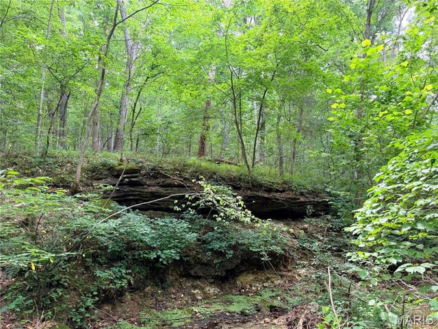 416+- Acres Christy Mine Road, Bourbon, MO 65441