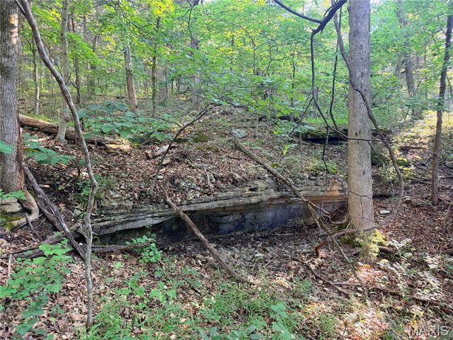 416+- Acres Christy Mine Road, Bourbon, MO 65441