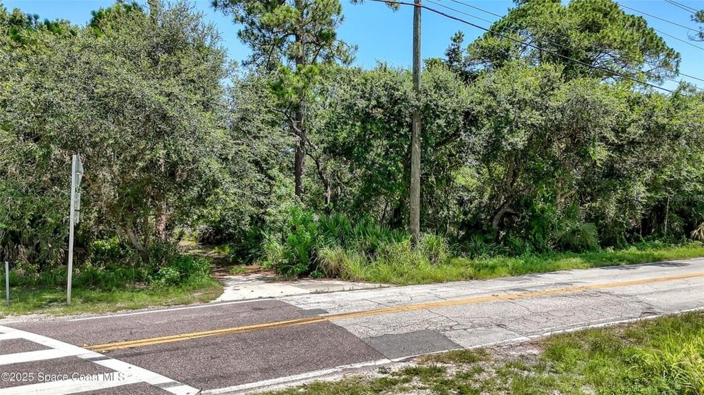 4300 BURKHOLM ROAD, Mims, FL 32754
