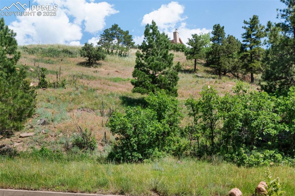 7137 Oak Valley Drive, Colorado Springs, CO 80919 — photo 3