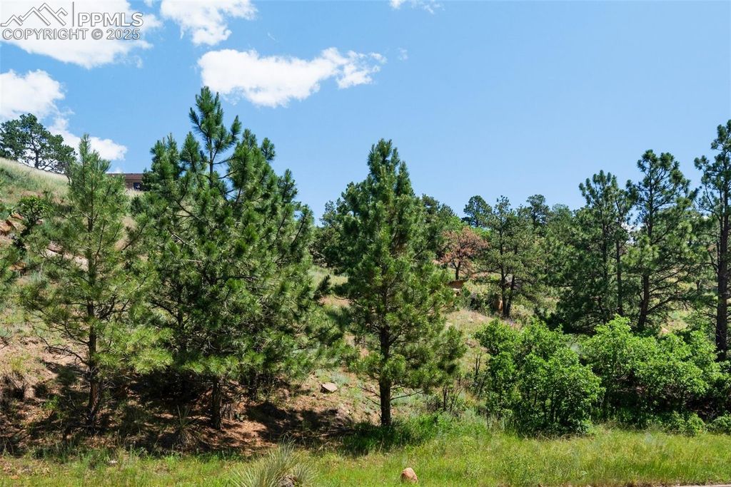 7137 Oak Valley Drive, Colorado Springs, CO 80919 — photo 4