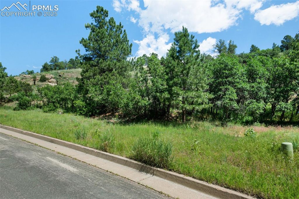 7137 Oak Valley Drive, Colorado Springs, CO 80919 — photo 5