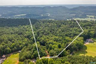 50 Acres Scenic Highway, Attalla, AL 35954