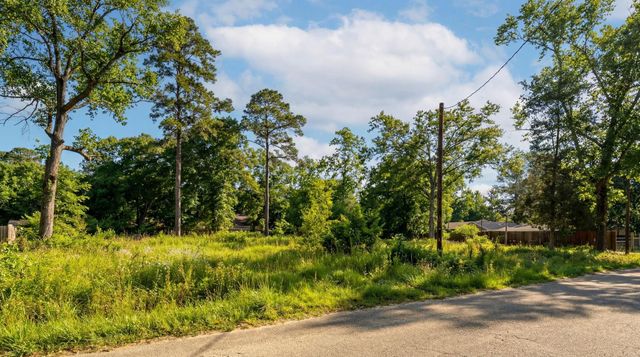 20629 Idle Glen Roadway, New Caney, TX 77357