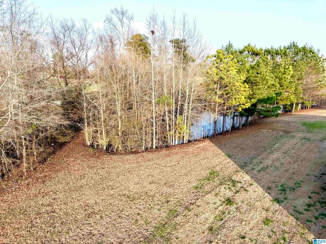 118 COUNTY ROAD 1081, Clanton, AL 35045