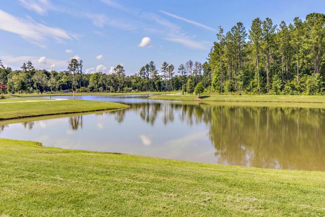 428 Watergrass Way, Summerville, SC 29485