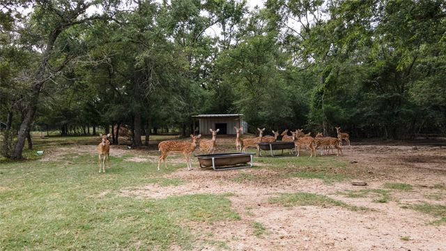 10285 Ferrill Creek Road, Bryan, TX 77808