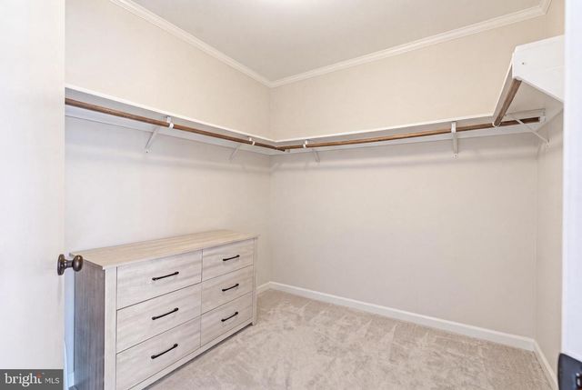 14540 STIRRUP LANE LN, Galena, MD 21635