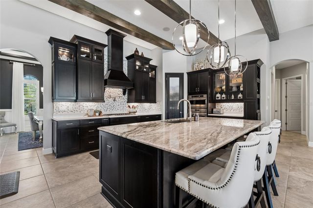 20439 LACE CASCADE ROAD, Land O Lakes, FL 34637