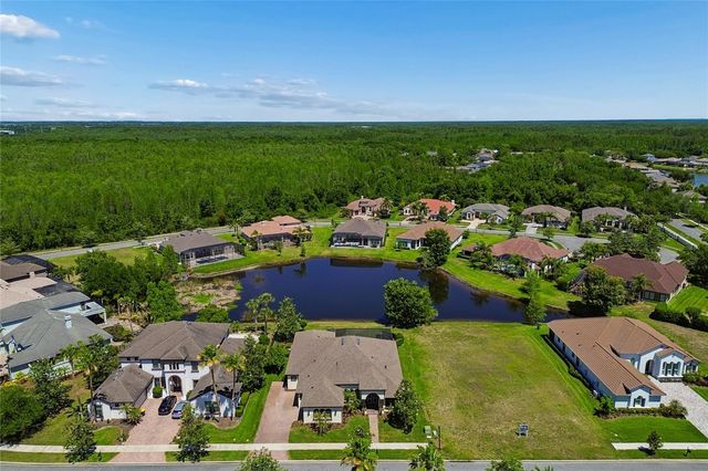 20439 LACE CASCADE ROAD, Land O Lakes, FL 34637