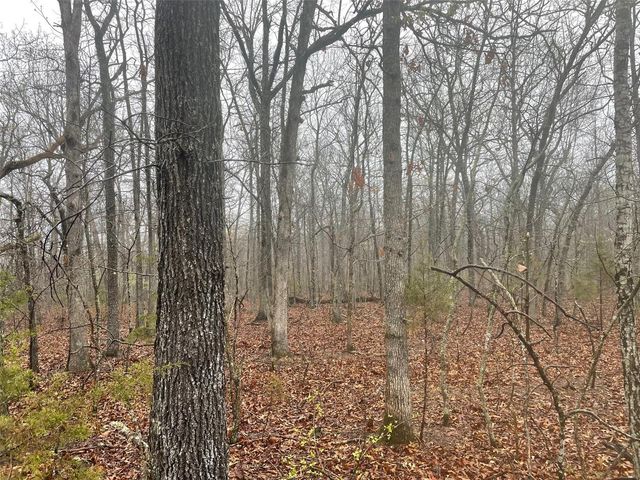 0 TBD King Rd, Stoutland, MO 65567