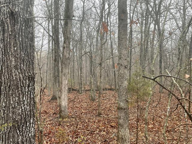 0 TBD King Rd, Stoutland, MO 65567