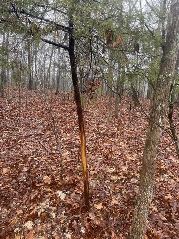 0 TBD King Rd, Stoutland, MO 65567