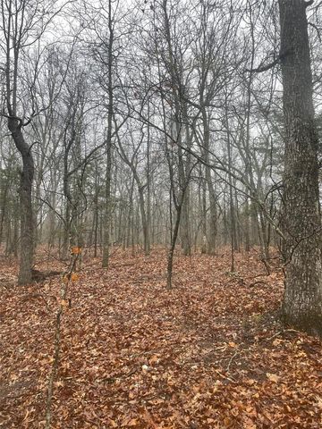 0 TBD King Rd, Stoutland, MO 65567