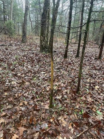 0 TBD King Rd, Stoutland, MO 65567