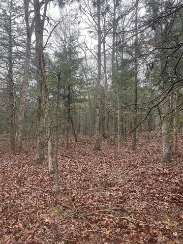 0 TBD King Rd, Stoutland, MO 65567