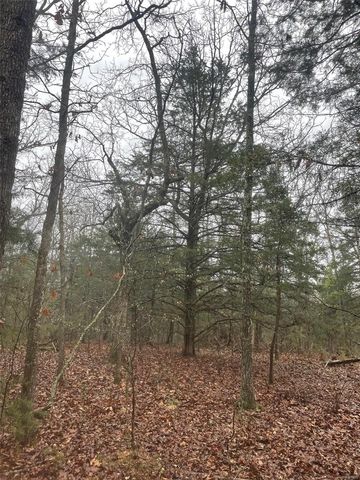 0 TBD King Rd, Stoutland, MO 65567