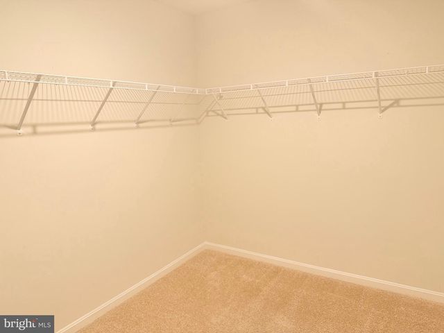 1245 PIMPERNELL PATH, Middletown, DE 19709
