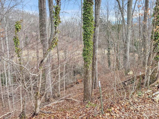 000 Cupp Lane, Waynesville, NC 28786