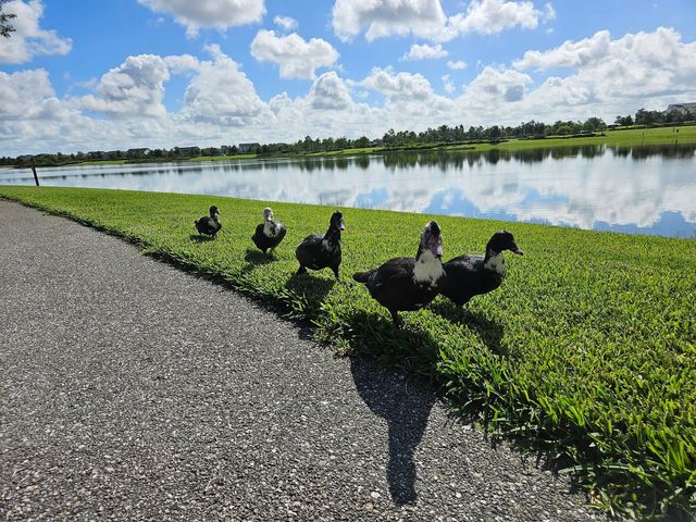 1664 Pelican Post Place, Loxahatchee, FL 33470