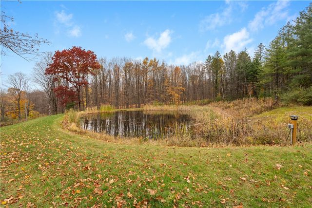 7753 Canadice Road, Springwater, NY 14560