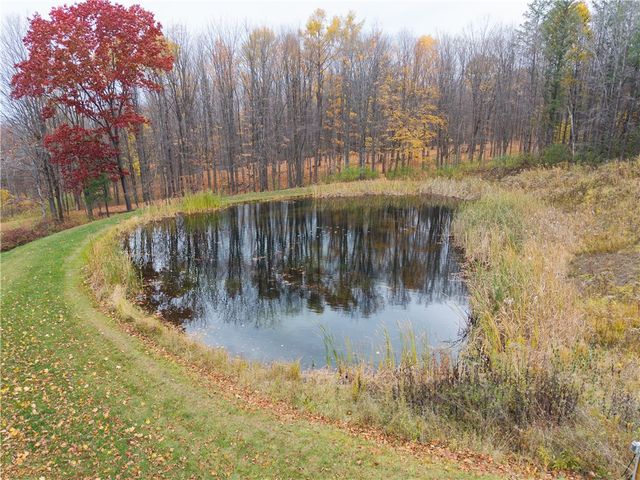 7753 Canadice Road, Springwater, NY 14560