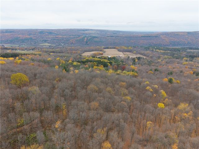 7753 Canadice Road, Springwater, NY 14560