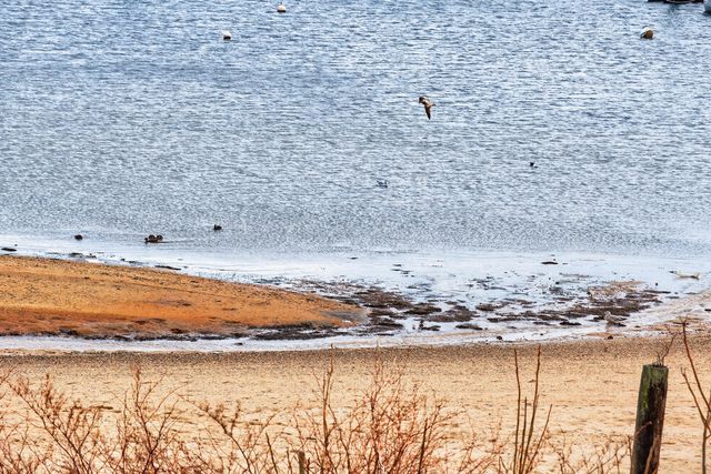 333 Commercial Street Unit 9, Provincetown, MA 02657